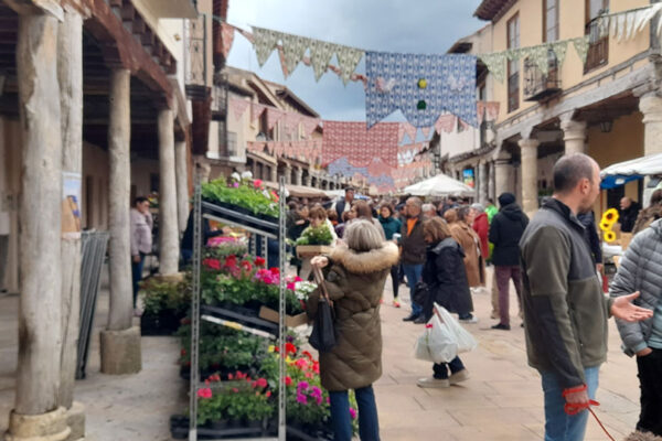 Mercado de la Flor 2024